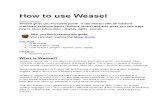 How to Use Weasel Controllers