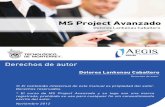 Manual MS Project Avanzado 4850a6b2f0340fe