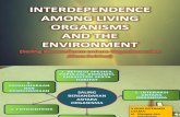 Chapter 4 Form 2 (interdependence among living things)
