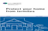 DFT-NSW Termite Protection