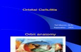94 Orbit Ac Cellulitis