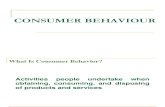 Basic Concepts of Consumer Behaviour