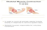 Bio 6 a Slides Skeletal Muscle Con