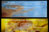Alaska King Crab Research.ppt