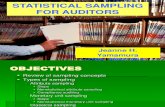 Statistical Sampling for Auditors