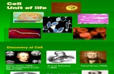 cell powerpoint - 2012.pdf