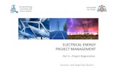CEESP Electrical Energy Project Management 3 Project Organization