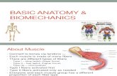 Lecture 4 - Basic Anatomy and Biomechanics