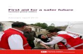 First Aid for a Safer Future Updated Global Edition Advocacy Report 2010 (2)