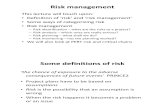 Risk Management 2013
