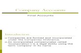 Company Accounts lessons