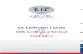 Eic Cons Guide