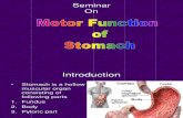 Motor Function of Stomach