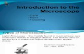 How to Correctly Use a Microscope