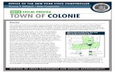 Colonie fiscal assessment