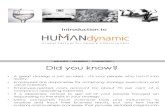 Introduction to Human Dynamic