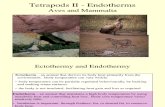 5 - Tetrapods II