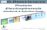 Protein Electrophoresis Handbook