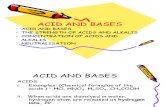 79749291 Acid and Bases