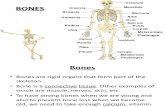 Bone Diseases 1