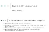 LECTURE_ 2-Speech Sounds