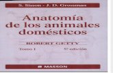Anatomia Veterinaria SISSON Y GROSSMAN