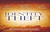 Identity Theft - Free Preview
