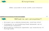 Enzymes Structure and Purpose
