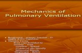 Mechanics of Pulmonary Ventlation by Dr.jawairia
