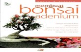 Membuat Bonsai Adenium