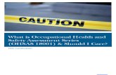 Safety Assessment Series OHSAS18001