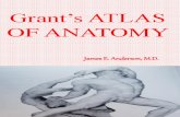 Grant’s ATLAS OF ANATOMY 2
