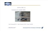 M14 to MK 14 - Evolution of a Battle Rifle