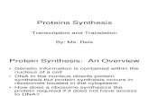 Copy of Proteins Synthesis 3