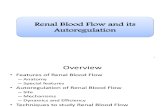 Renal Blood Flow and Its Autoregulation (Seminar)