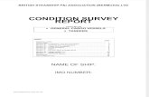 BSM P&I Condition Survey Report(201103)