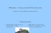 (24.01) Plant Essential Elements