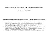 Cultural Change in Organization