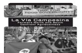Riddell, John & Adriana Paz 2009 'La via Campesina-- Farmers North and South Confront Agribusiness' Socialist Voice Pamphlet (27 Pp.)