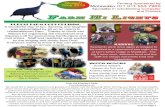 News Letter July-13 to Dec 2013