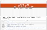 ARM introduction with reference to arm 11