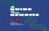 genoma- cristian chiluisa.pdf