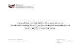 Analiza Structurii Financiare a Intreprinderii Si Optimizarea Acesteia La BIOFARM S.a.