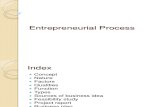 entrepreneural process