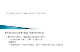 Money and Payment System