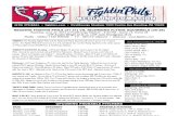 062213 Reading Fightins Game Notes
