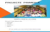 Power Projecte Primer A