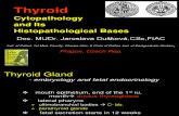 tiroid biologi