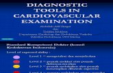 Diagnostic Tools in Cardiovascular Examination 2009