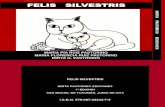 Felis Silvestris